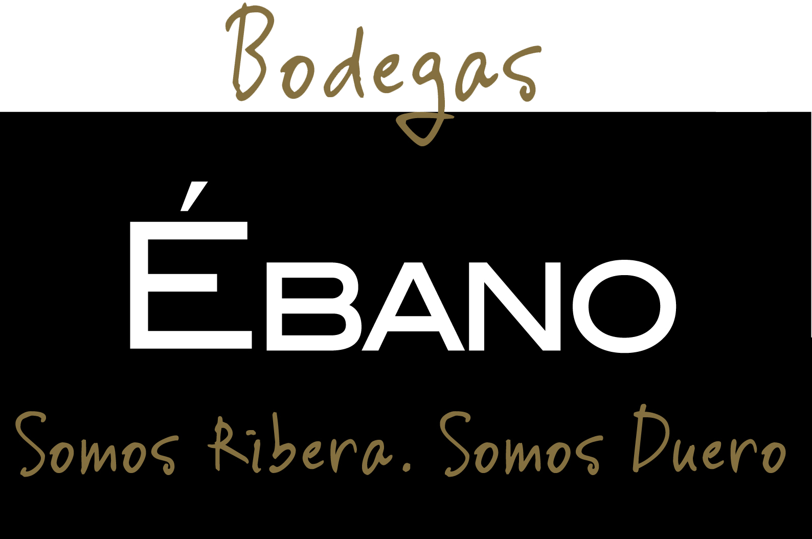 Ébano Viñedos y Bodegas