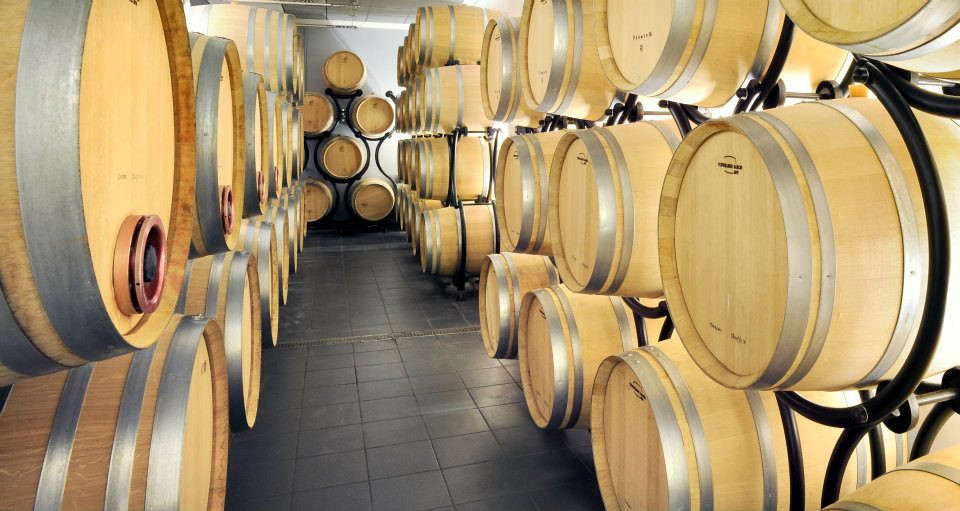 308569_206846589393851_1270715822_n_1.jpg Bodegas PICO CUADRO