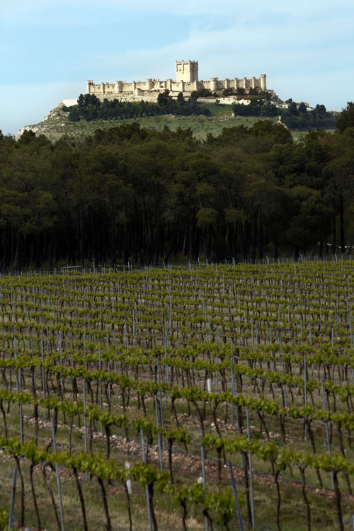 Bodegas LEGARIS