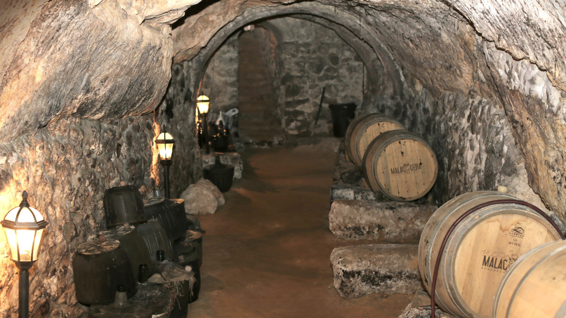 BODEGAS MALACUERA