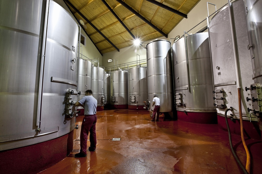 BODEGAS PASCUAL