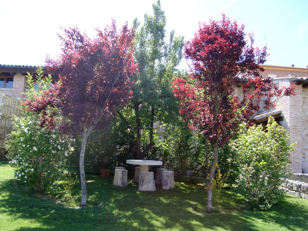 Bodega Convento San Francisco jardin