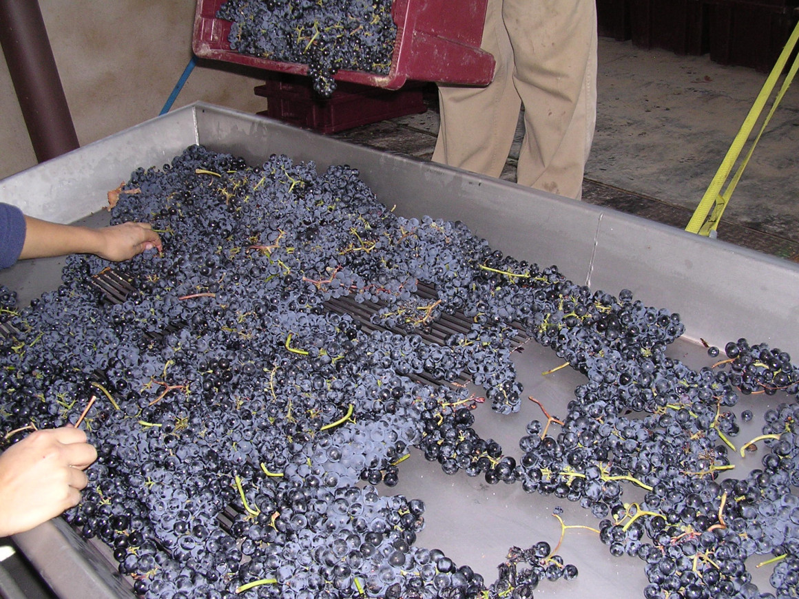 Bodegas DEHESA VALDELAGUNA