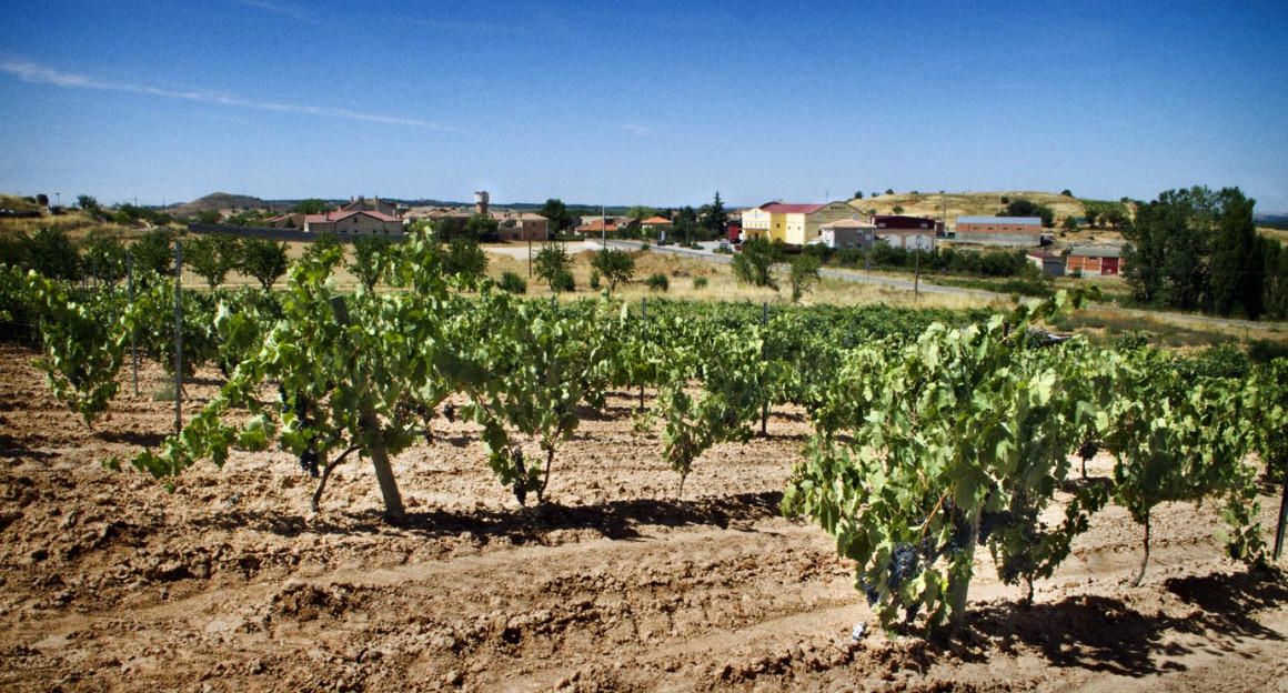 fachada_03_4.jpg BODEGA SAN ROQUE
