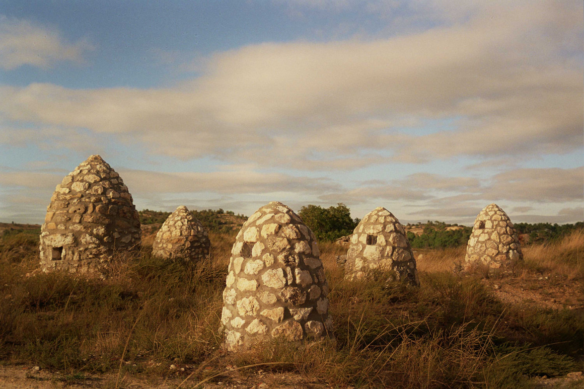 Bodegas CILLAR DE SILOS