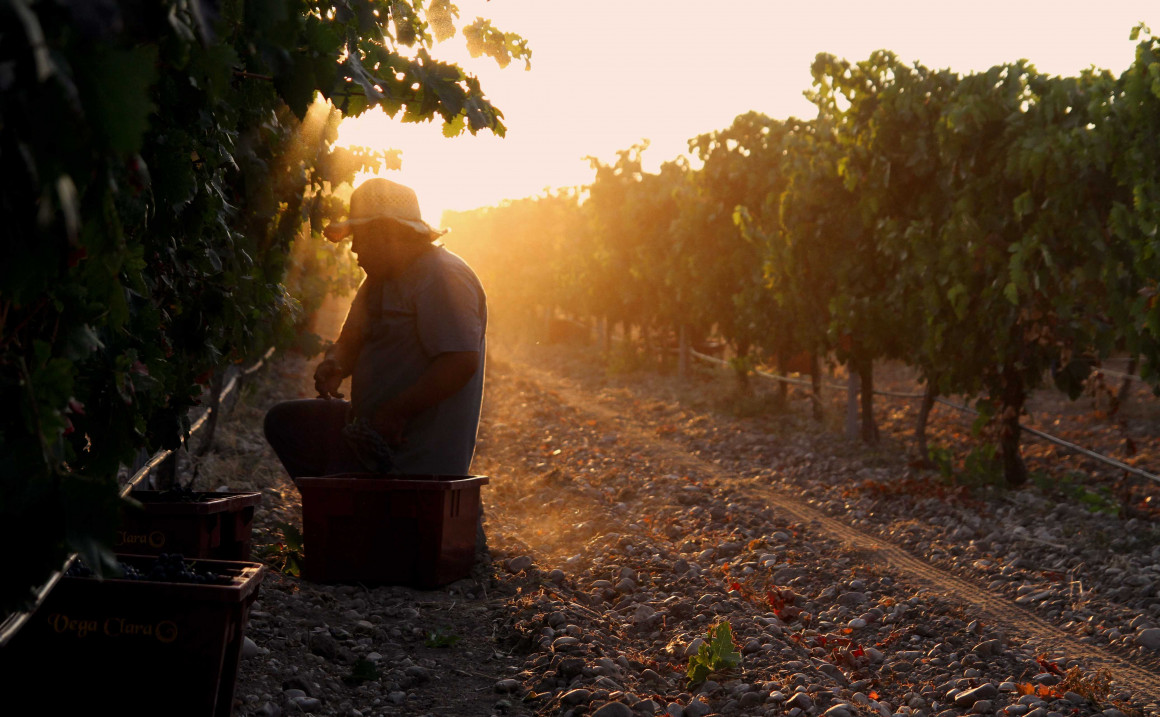 Bodegas VEGACLARA