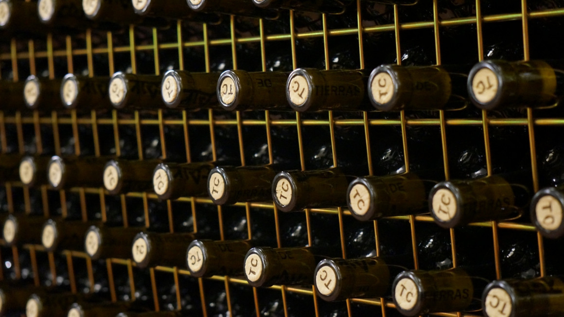 jaulon_tierras_1_0.jpg Bodegas DOMINIO DE CAIR