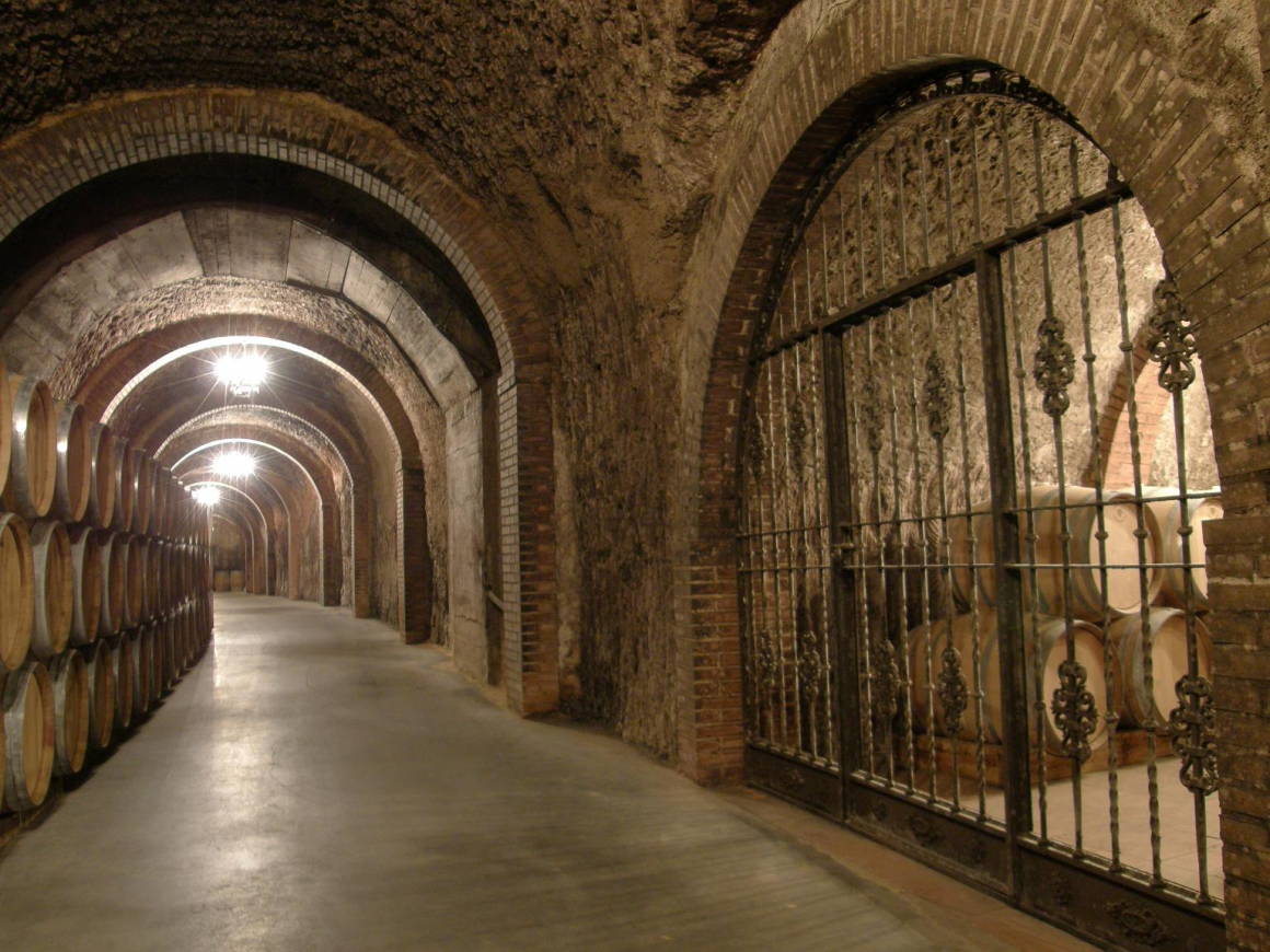 BODEGAS ISMAEL ARROYO