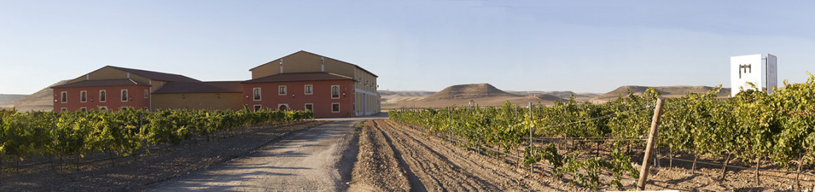 panoramica_bodega_1300.jpg BODEGAS RESALTE DE PEÑAFIEL