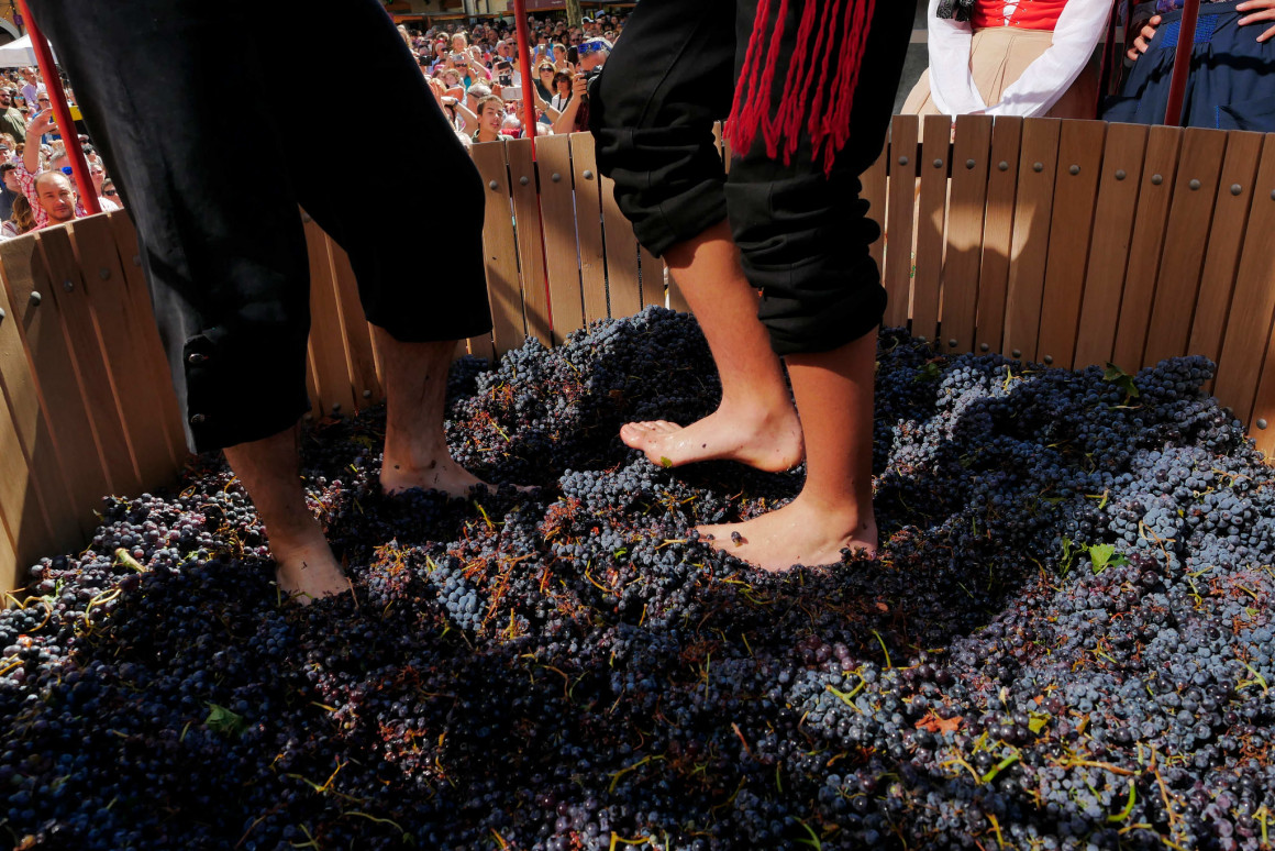 Más de 15.000 personas disfrutaron de la III Gran Fiesta de la Vendimia de Ribera del Duero