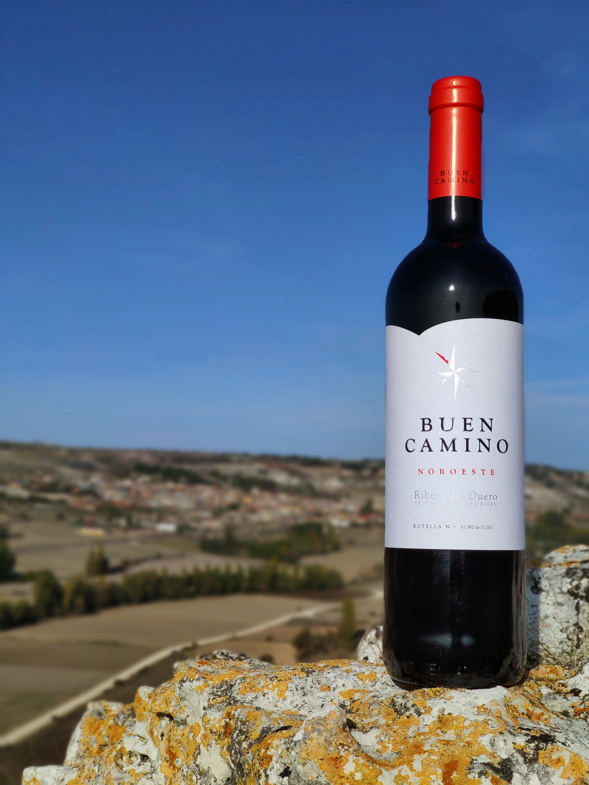 Buen Camino Ribera del Duero