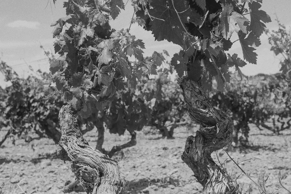 Stocksy_txpd09f392a4ep200_Medium_708327 copy.jpg