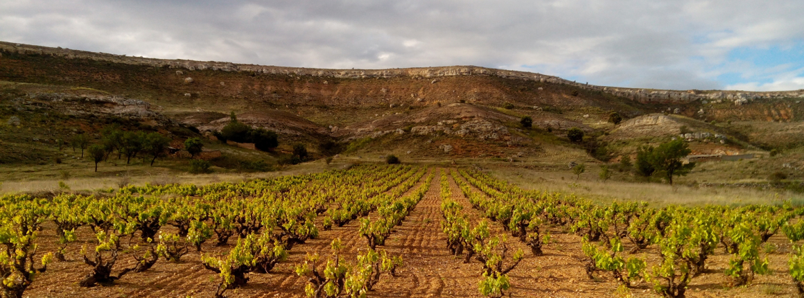 El Largo - Peñalba de San Esteban