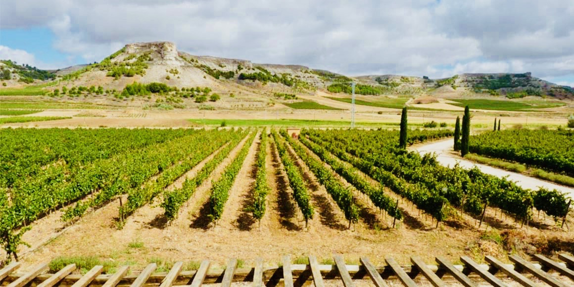 BODEGAS BOHÓRQUEZ