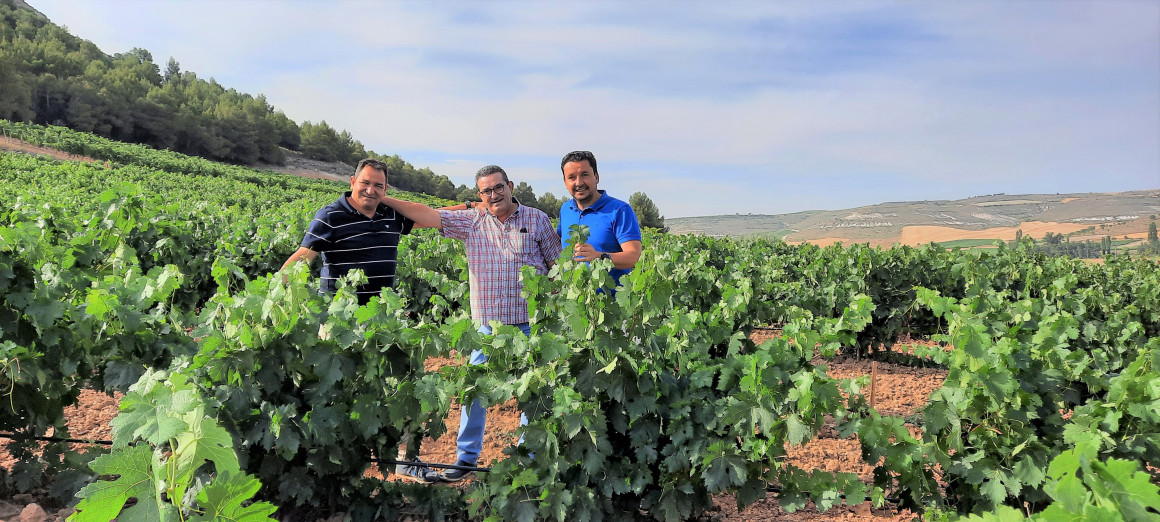 Socios_Bodegas_el_Inicio_julio_2021.jpg Socios Bodegas el Inicio Ribera del Duero viñedo amistad y buen vino