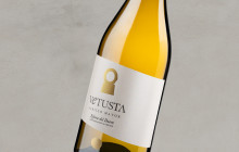 Vetusta Albillo Mayor vino blanco ribera del duero