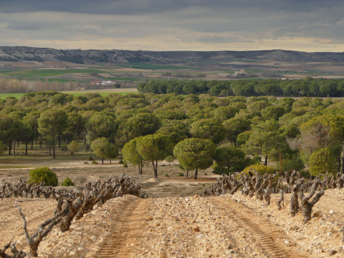 Nuevo Sistema de Control