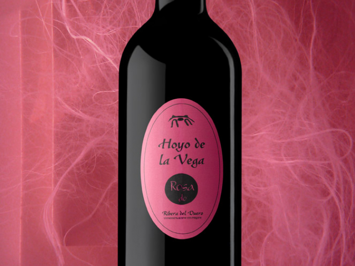 BODEGAS VALLE DE MONZÓN