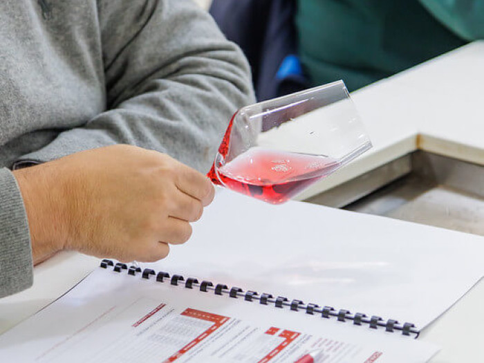 Añada 2023 Ribera del Duero