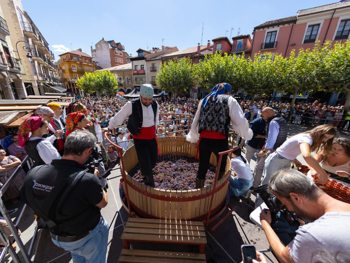 Fiesta de la Vendimia