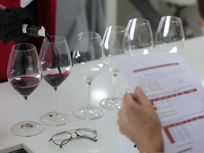 Calificación de la añada 2023